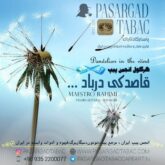قطعه دکلمه قاصدکی در باد