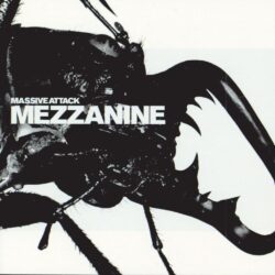 آهنگ Teardrop از Massive Attack