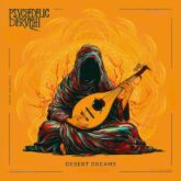 دانلود آلبوم dervishan psychedelic rock journey