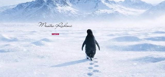 موزیک پنگوئن نیهیلیست