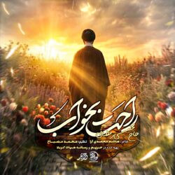 نماهنگ راحت بخواب , ویژه مراسم تشییع رهبر شهید انقلاب