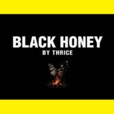 آهنگ Black Honey از Thrice؛ یک اثر ضد آمریکایی با پیامی اعتراضی