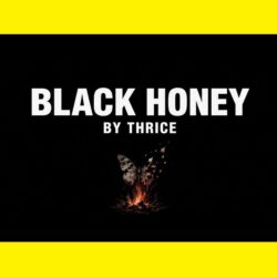 آهنگ Black Honey از Thrice؛ یک اثر ضد آمریکایی با پیامی اعتراضی