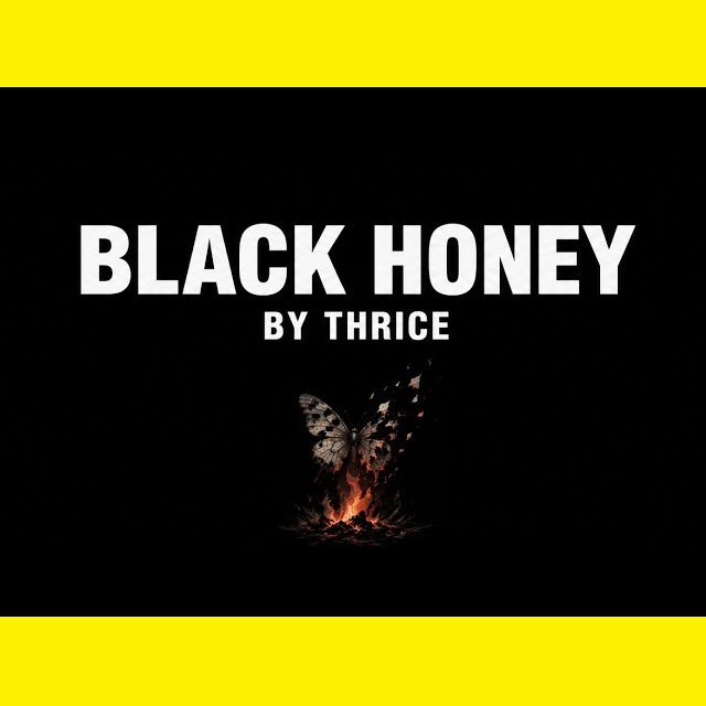 آهنگ Black Honey از Thrice؛ یک اثر ضد آمریکایی با پیامی اعتراضی